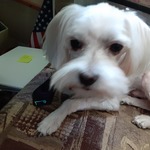 booklover44 is swapping clothes online from 