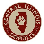 Central Illinois Doodles is swapping clothes online from 