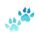 petsnurturing is swapping clothes online from Woodbridge, New Jersey