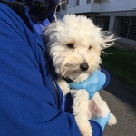 mmelibrarian is swapping clothes online from SALISBURY, MA