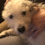 Lotuswoman  is swapping clothes online from 