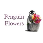 Penguin Flowers is swapping clothes online from CORVALLIS, OR