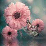 manojavayamaruti is swapping clothes online from 