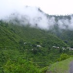 uttarakhanddarsan is swapping clothes online from 