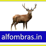 alfombra is swapping clothes online from 