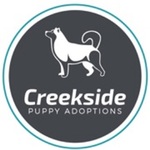 Creekside Puppy Adoptions is swapping clothes online from 
