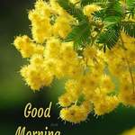 janifer is swapping clothes online from 