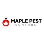 WASP Nest Removal Toronto is swapping clothes online from VAUGHAN, ON