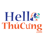 hellothucung is swapping clothes online from QUẬN TÂN BÌNH, HO CHI MINH