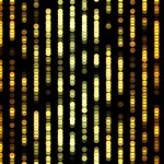 deeptests208 is swapping clothes online from 