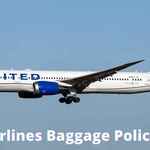 united airlines baggage fees is swapping clothes online from 