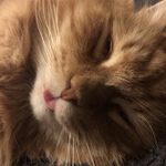 abzilla is swapping clothes online from PORTLAND, ME