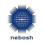 cosmic123 is swapping clothes online from 