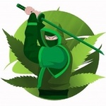 CBD Marketing Agency  is swapping clothes online from 