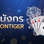 dragontigerfun88 is swapping clothes online from 