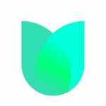 meettulip is swapping clothes online from 