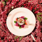 tantra is swapping clothes online from EDINBURGH, SCOTLAND