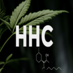 lordof cbd is swapping clothes online from 