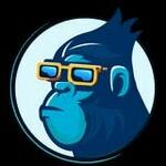 bytechimp is swapping clothes online from 