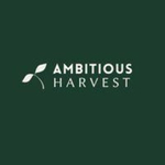 ambitiousharvest is swapping clothes online from 