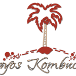 kombuchakeywest is swapping clothes online from 