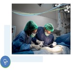 Gynecologist Singapore is swapping clothes online from 