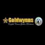 Goldwynns is swapping clothes online from 