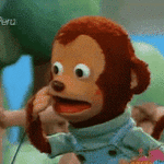 lisac is swapping clothes online from 