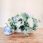 amylee1 is swapping clothes online from 