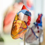 Singapore Heart Specialist  is swapping clothes online from 