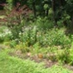 landscapecons is swapping clothes online from 