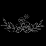 steelmagnoliainc is swapping clothes online from 