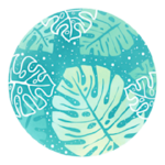 monsteraholic is swapping clothes online from 