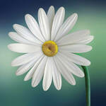 elainehardy is swapping clothes online from Edinburgh, 