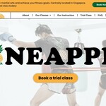 pineapplemma is swapping clothes online from 