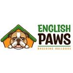Englishpaws is swapping clothes online from 