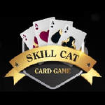 skillcatgame is swapping clothes online from 