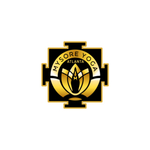 myasava is swapping clothes online from 