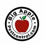 Big Apple Pest Control is swapping clothes online from Oldsmar, FL, USA, Florida