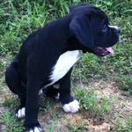 patriarch is swapping clothes online from 