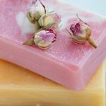 novuscandela is swapping clothes online from GATLINBURG, TN