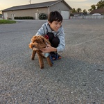 ming is swapping clothes online from BOISE, ID