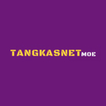 tangkasnet01 is swapping clothes online from 