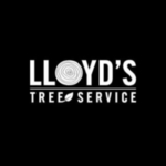 lloydstrees is swapping clothes online from 