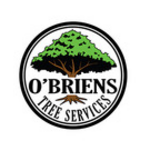 obrienstrees is swapping clothes online from 