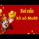 soicaumu88vn is swapping clothes online from 