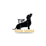 thedoxieworld is swapping clothes online from 