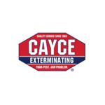 caycebugs is swapping clothes online from 