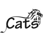 bigcatssafari is swapping clothes online from 