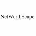 networthscape is swapping clothes online from 